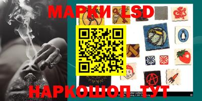 spice Обнинск