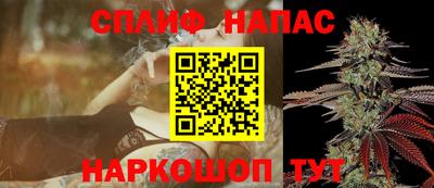дмт Обь