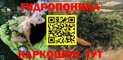 дмт Обь