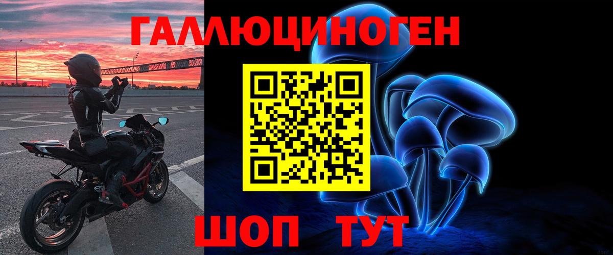 Псилоцибиновые грибы Psilocybine cubensis  закладки  Полысаево  Вход с VPN 